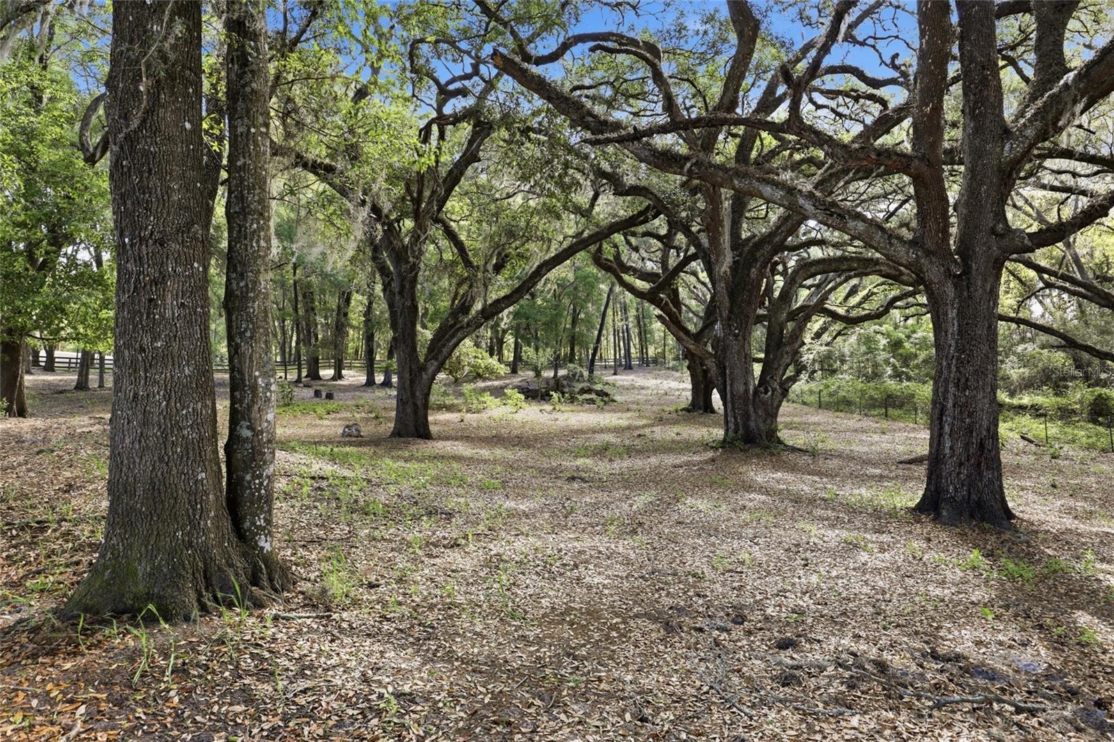 9733 SW 104TH LN, GAINESVILLE, FL, 32608
