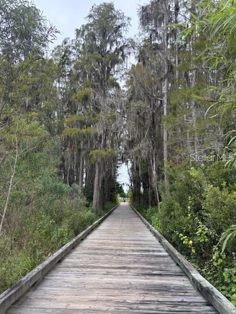 15090 CARAVAN AVE, ODESSA, FL, 33556