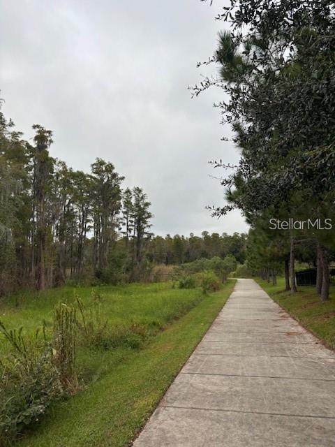 15090 CARAVAN AVE, ODESSA, FL, 33556