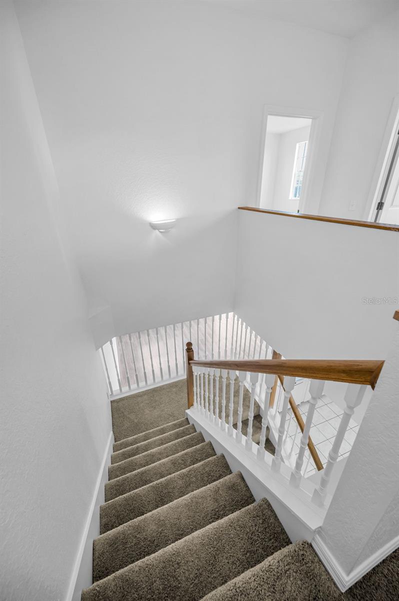 Newly carpeted stairs!