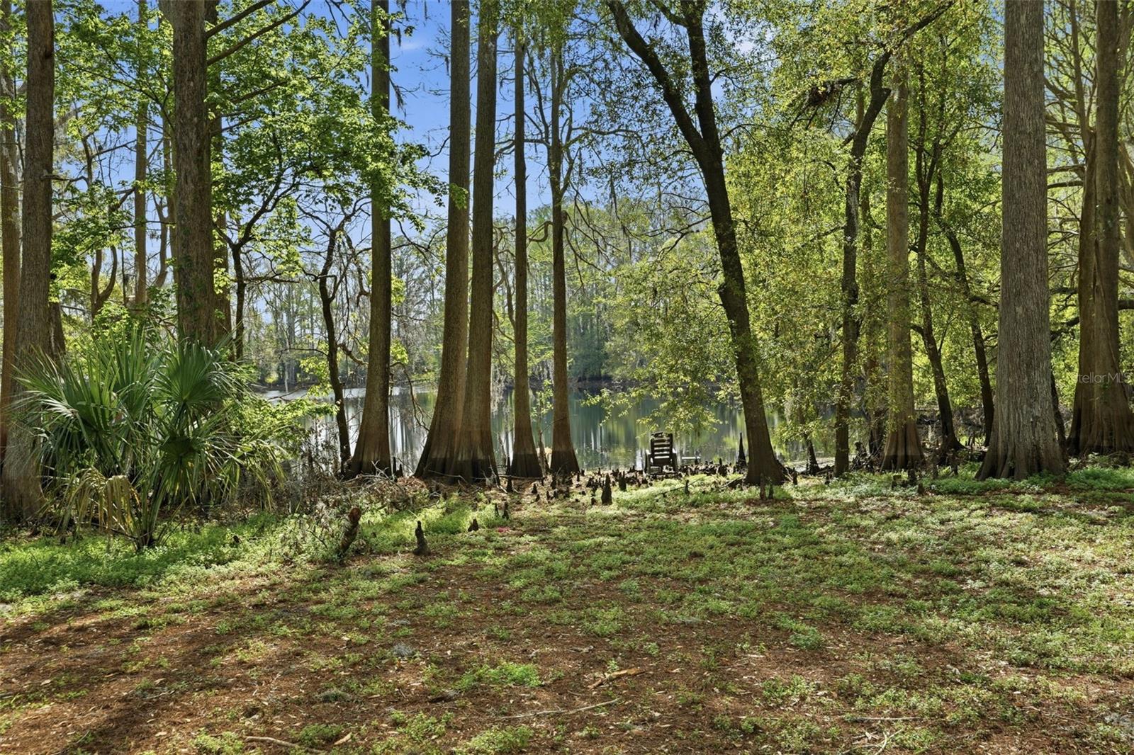 8604 CAMEO DR, NEW PORT RICHEY, FL, 34654