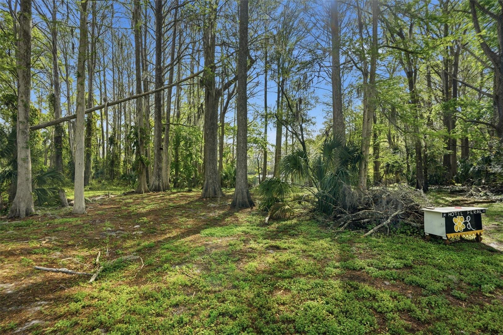 8604 CAMEO DR, NEW PORT RICHEY, FL, 34654