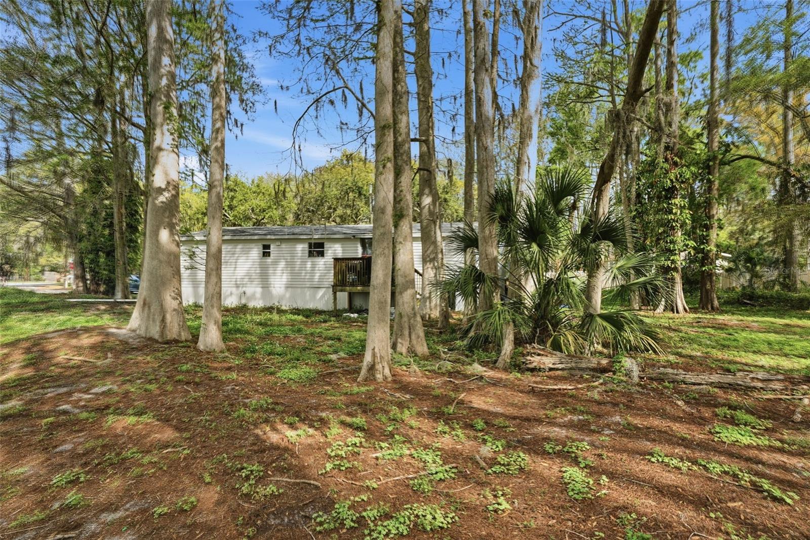 8604 CAMEO DR, NEW PORT RICHEY, FL, 34654