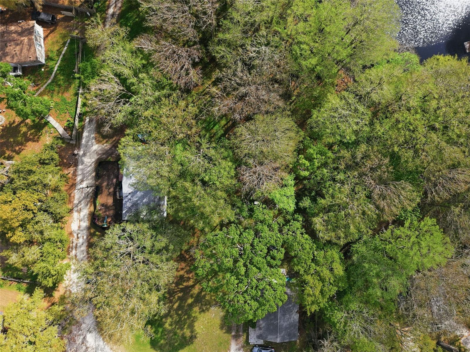 8604 CAMEO DR, NEW PORT RICHEY, FL, 34654