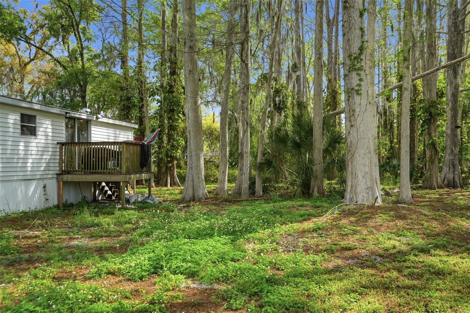 8604 CAMEO DR, NEW PORT RICHEY, FL, 34654