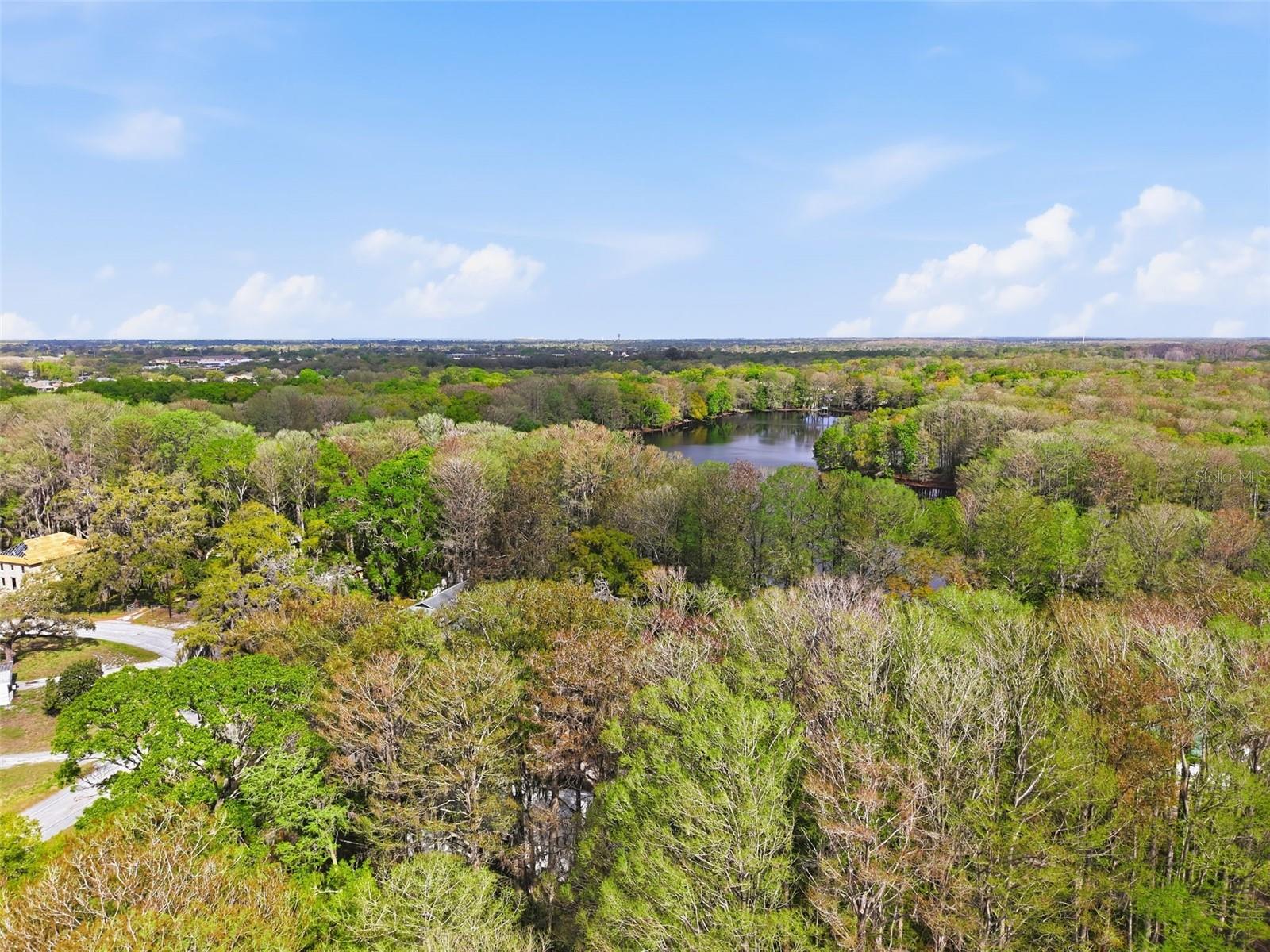 8604 CAMEO DR, NEW PORT RICHEY, FL, 34654