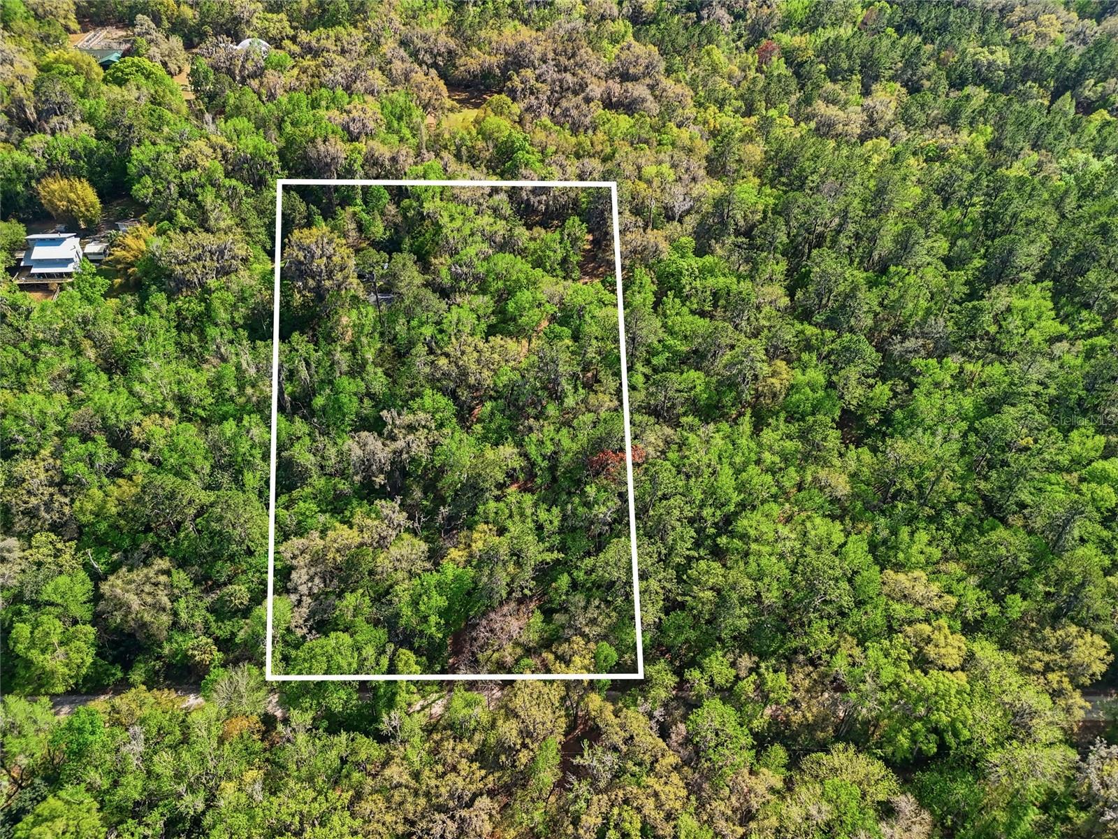 8856 NW 230TH ST, MICANOPY, FL, 32667