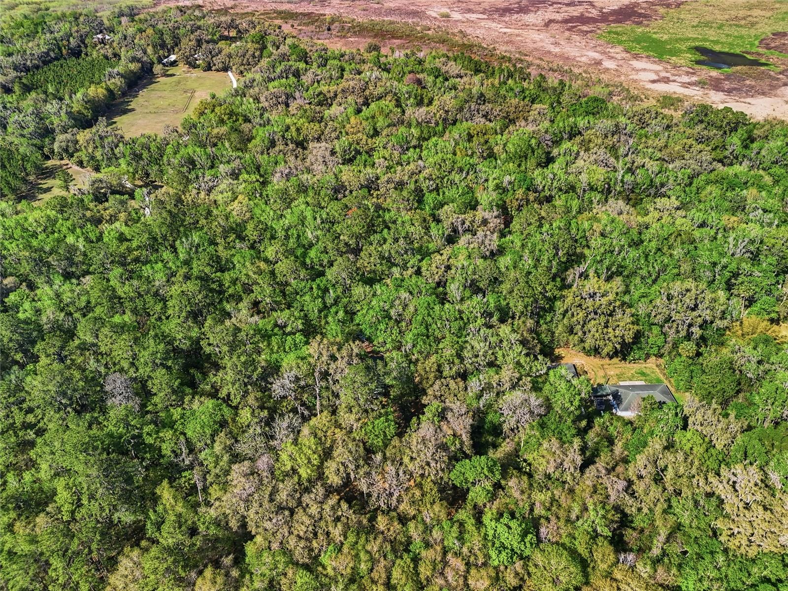 8856 NW 230TH ST, MICANOPY, FL, 32667