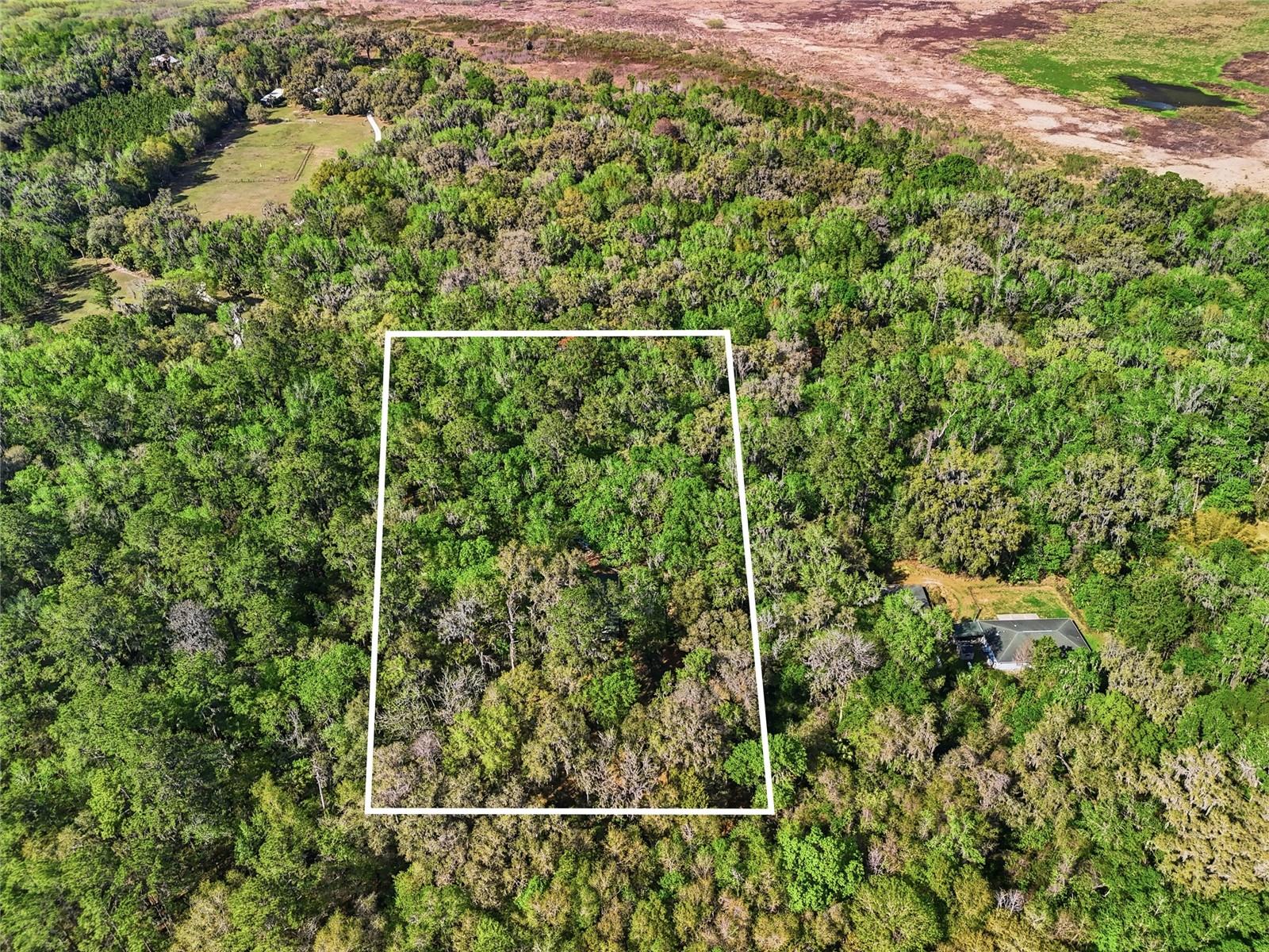 8856 NW 230TH ST, MICANOPY, FL, 32667