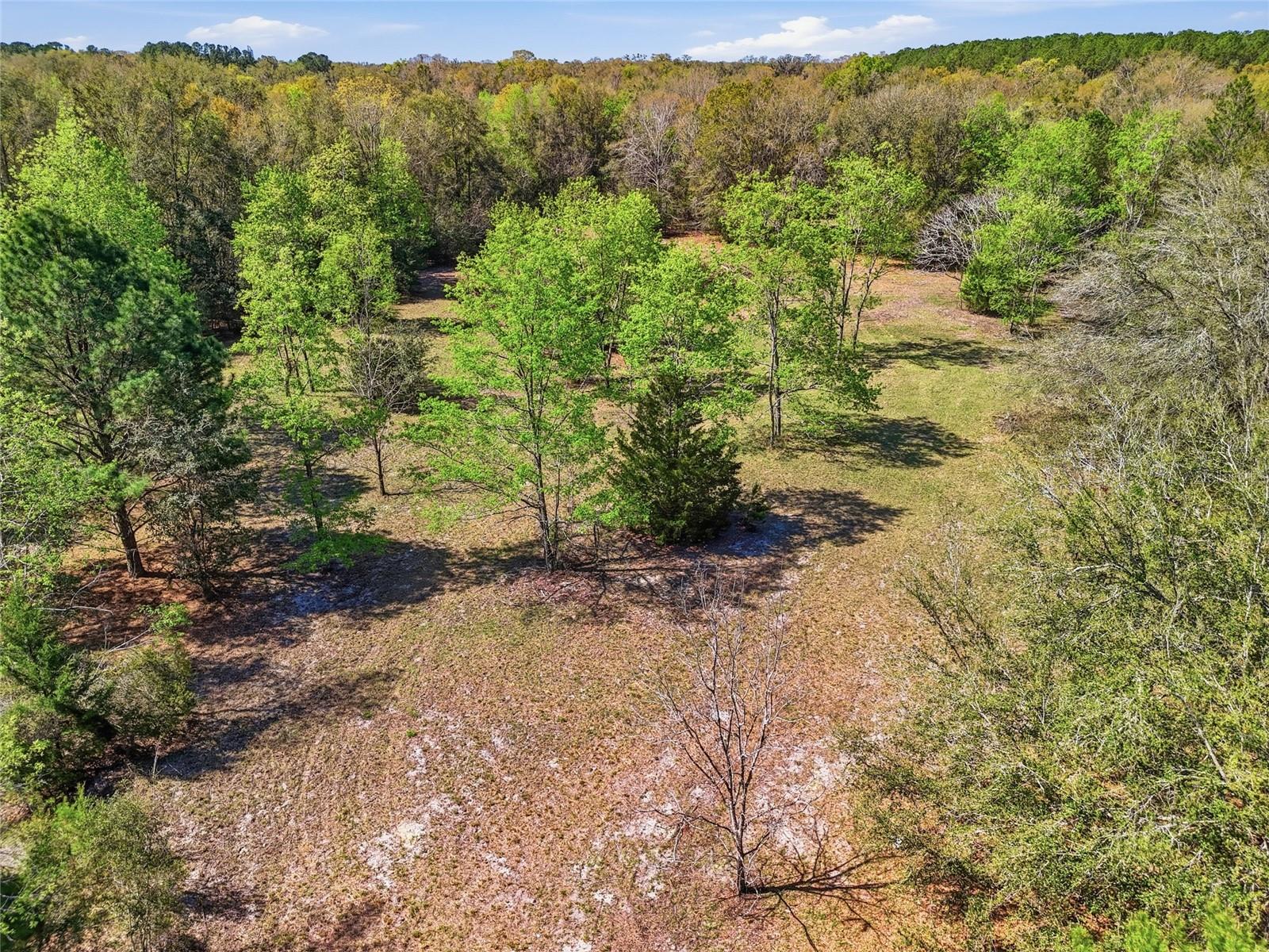 6615 NW COUNTY ROAD 235, ALACHUA, FL, 32615