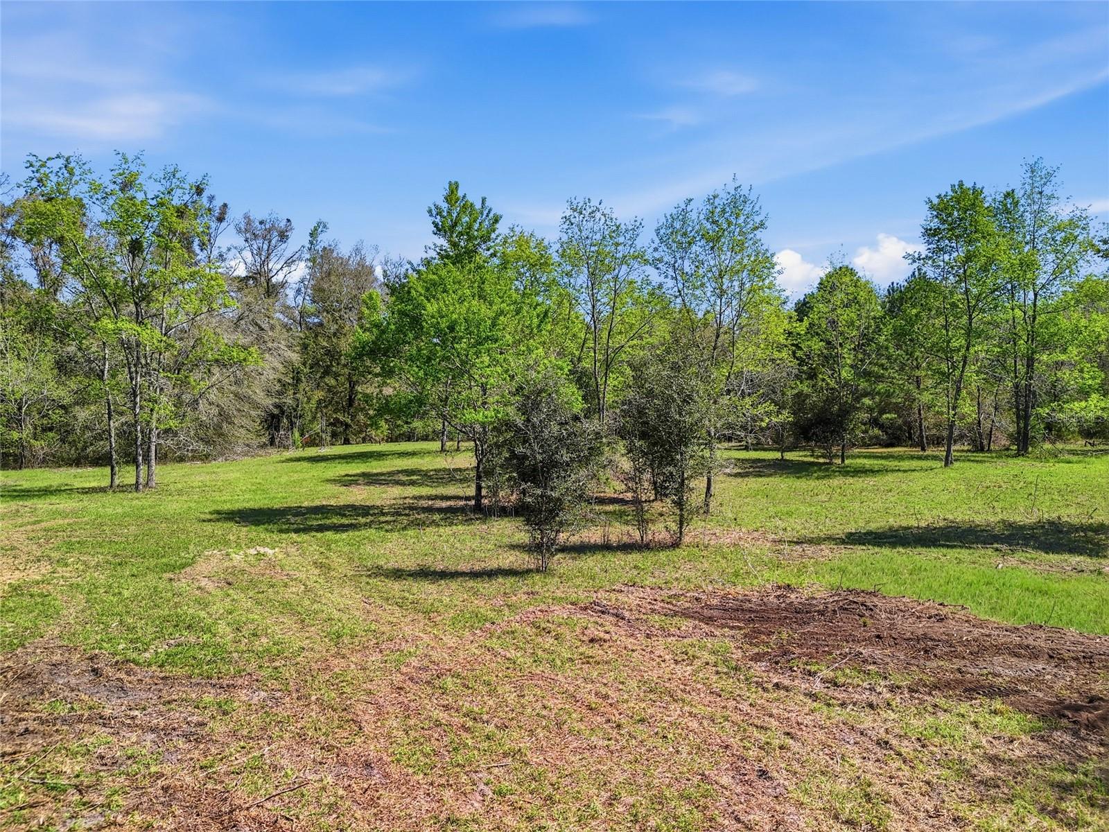 6615 NW COUNTY ROAD 235, ALACHUA, FL, 32615