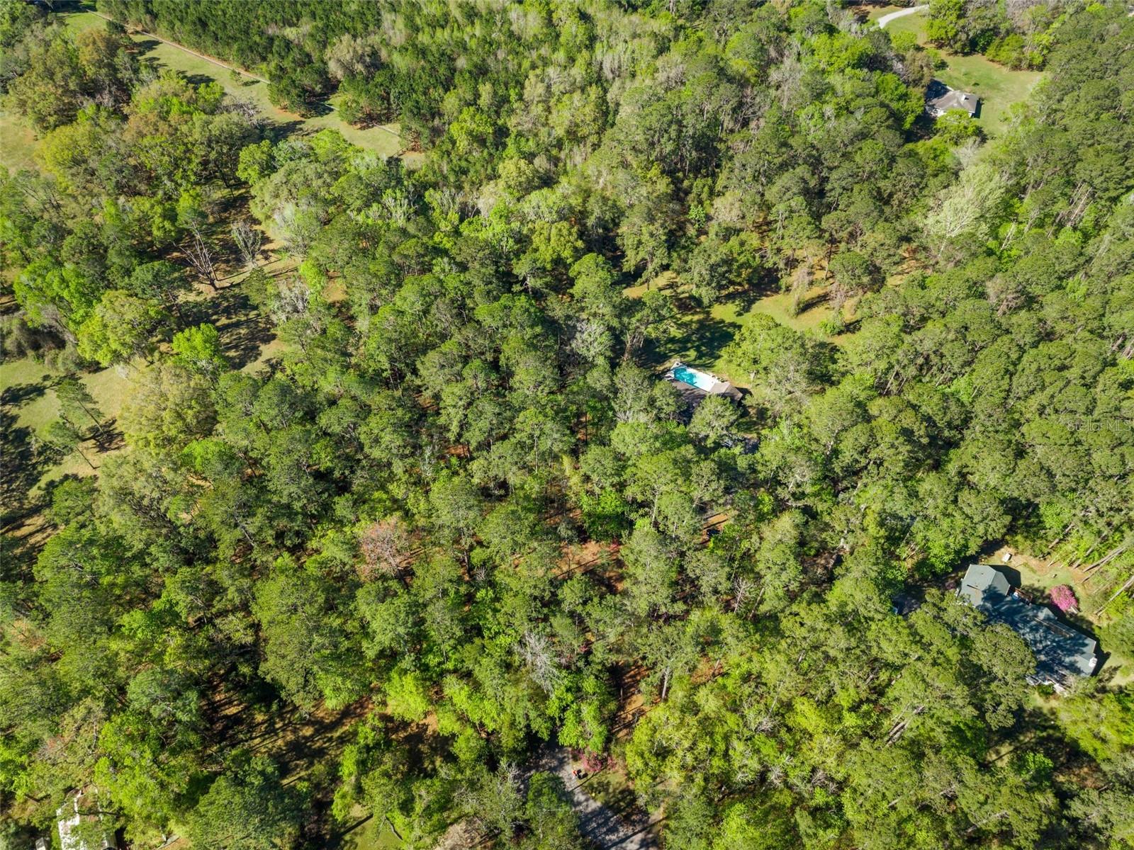 5908 NW 124TH ST, GAINESVILLE, FL, 32653