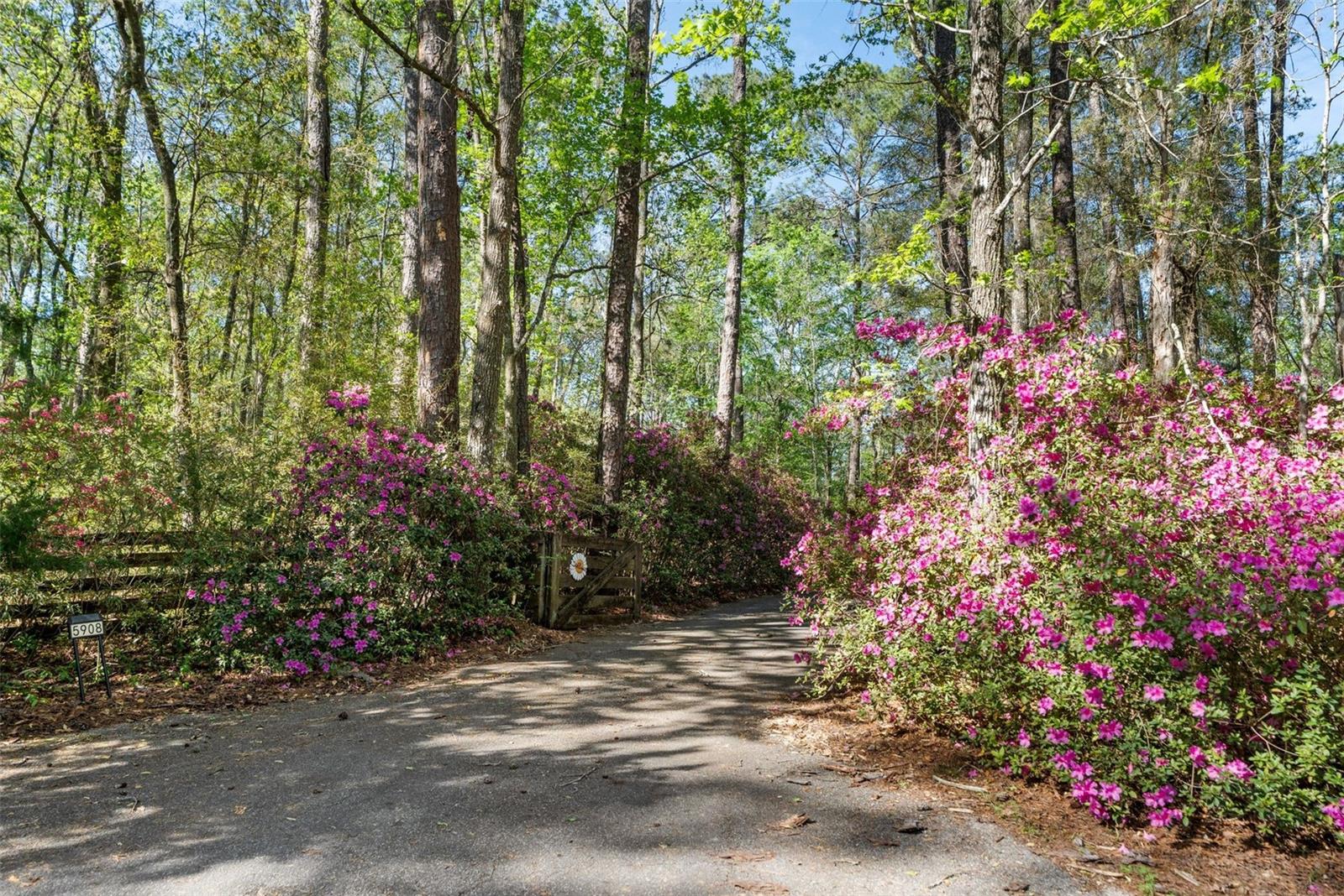 5908 NW 124TH ST, GAINESVILLE, FL, 32653
