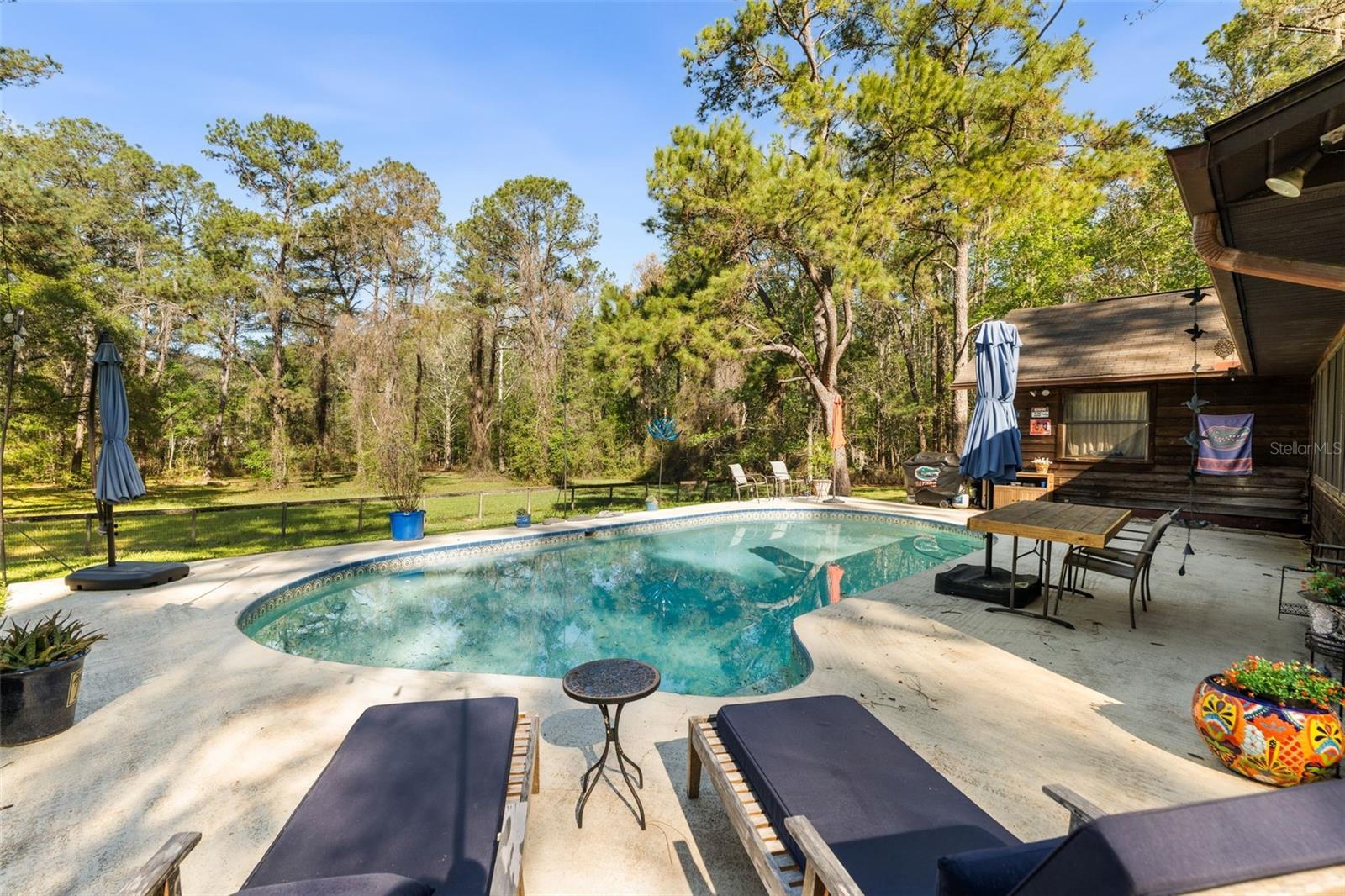 5908 NW 124TH ST, GAINESVILLE, FL, 32653