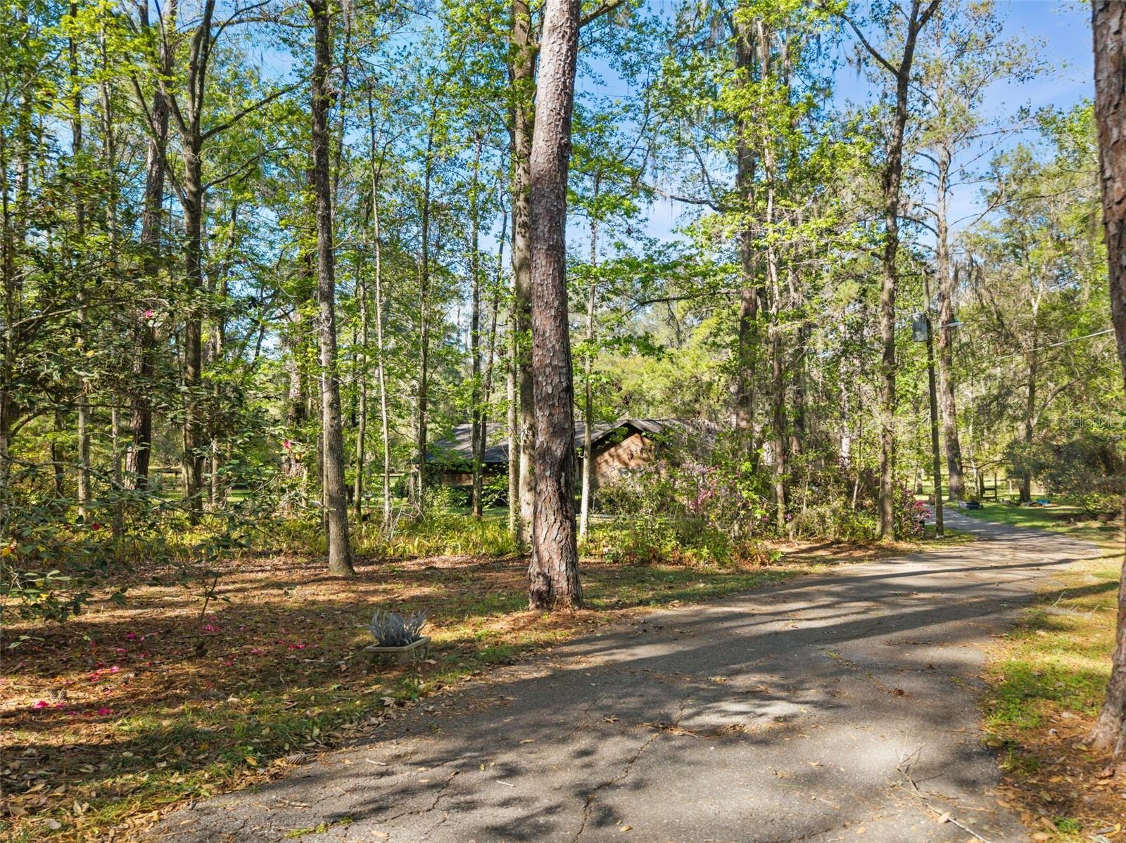 5908 NW 124TH ST, GAINESVILLE, FL, 32653