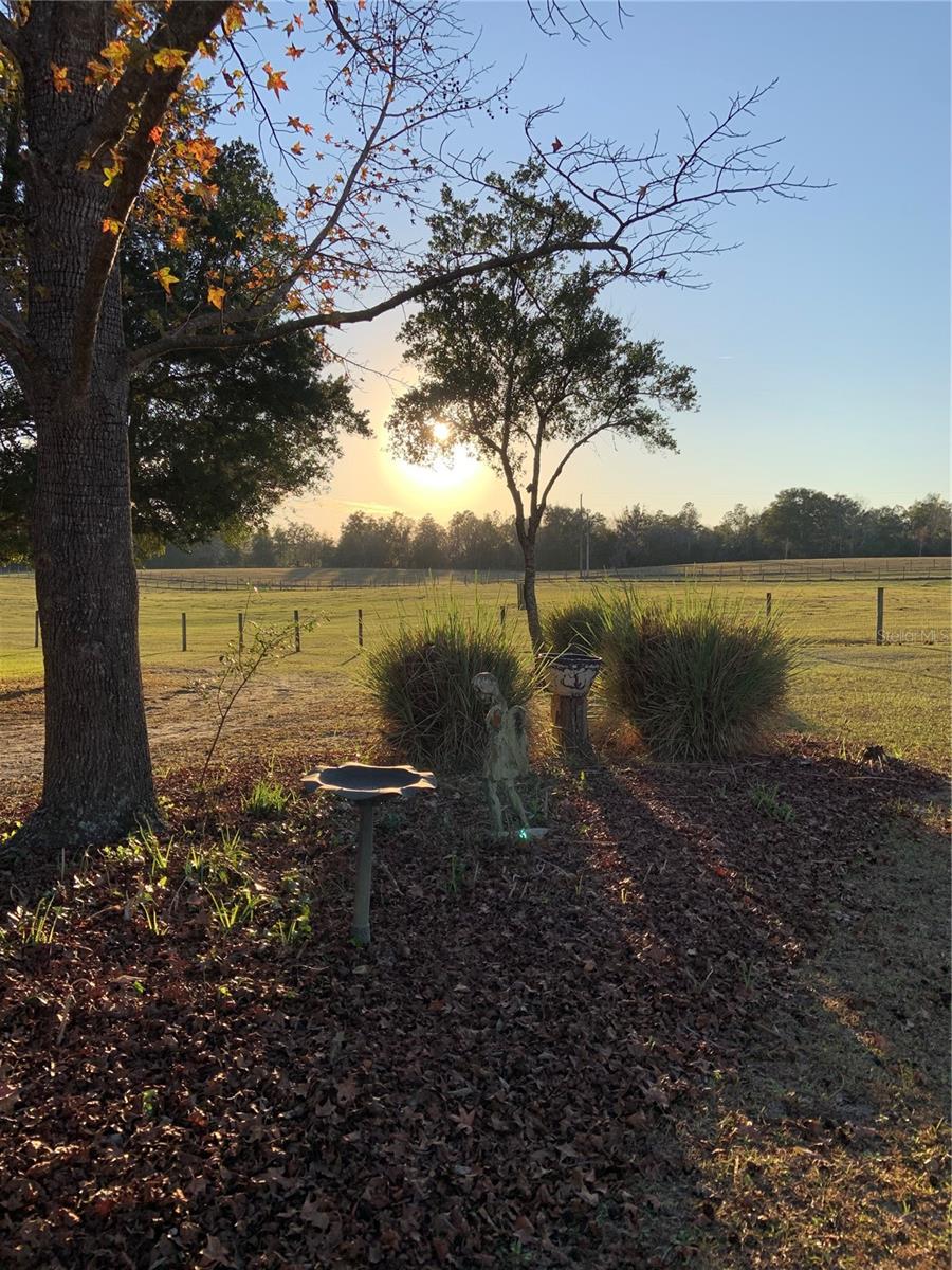 7650 NE 40TH ST, HIGH SPRINGS, FL, 32643