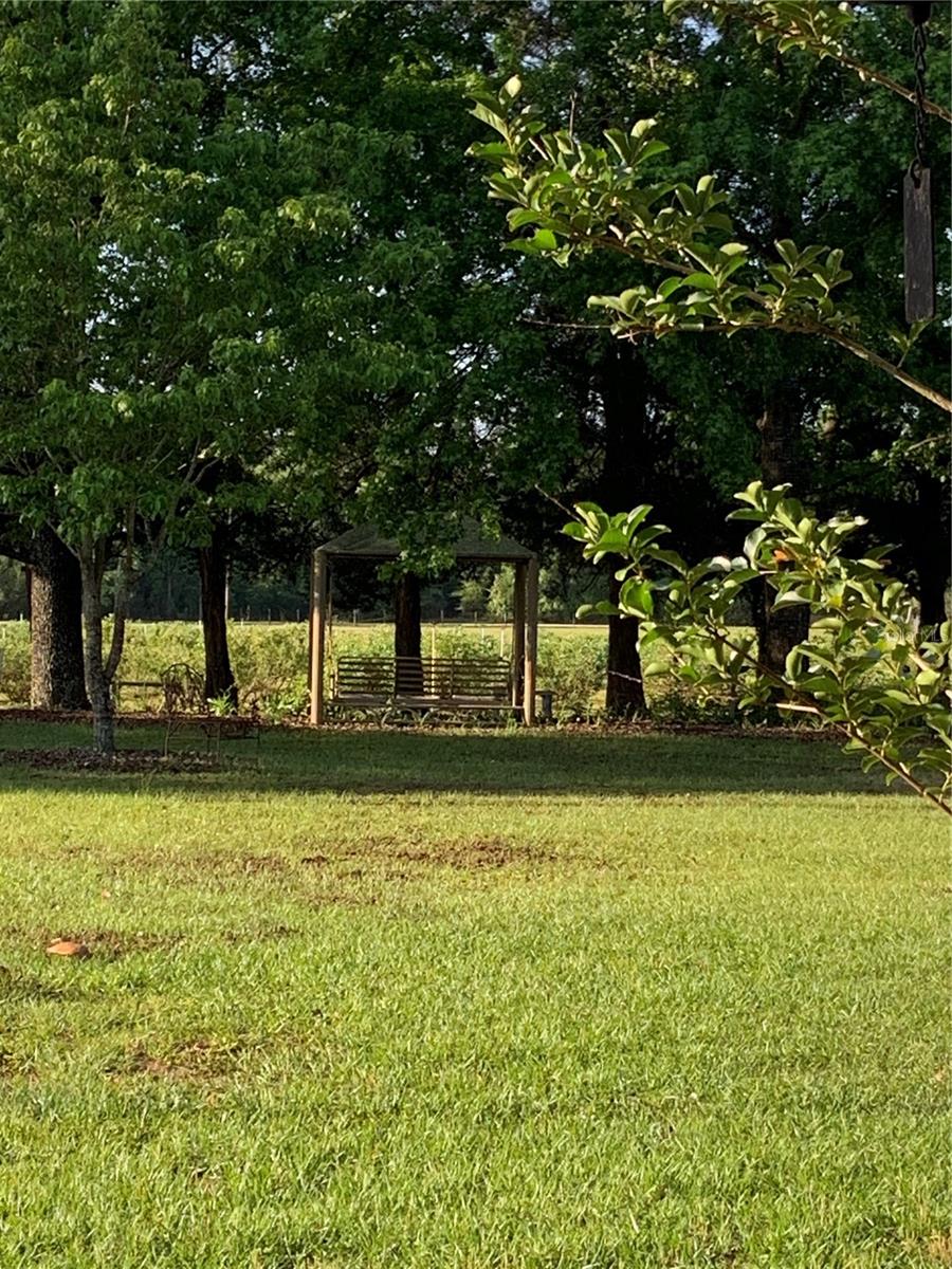 7650 NE 40TH ST, HIGH SPRINGS, FL, 32643