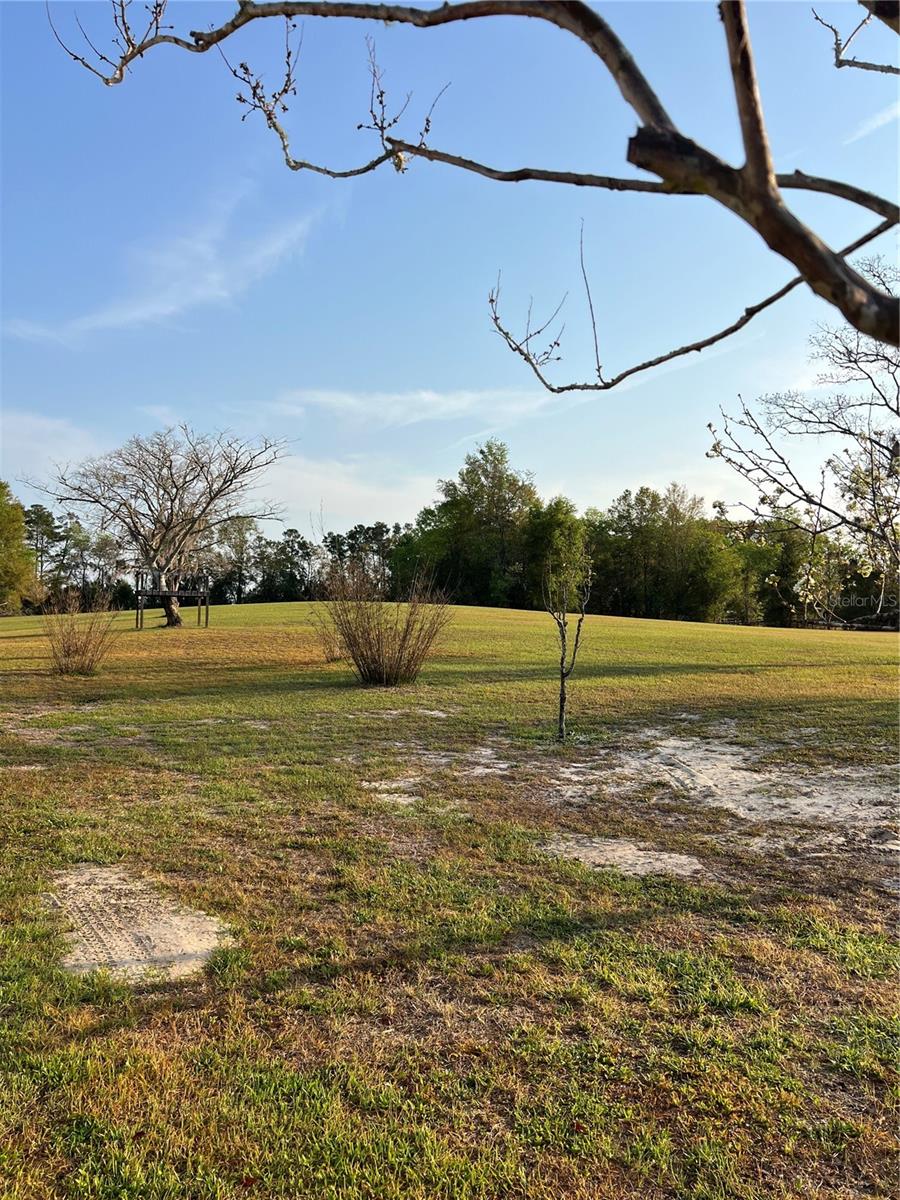 7650 NE 40TH ST, HIGH SPRINGS, FL, 32643