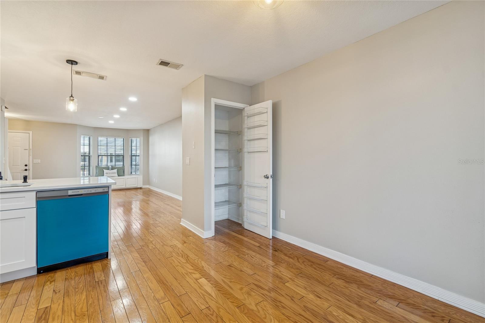 Large Pantry Closet!
