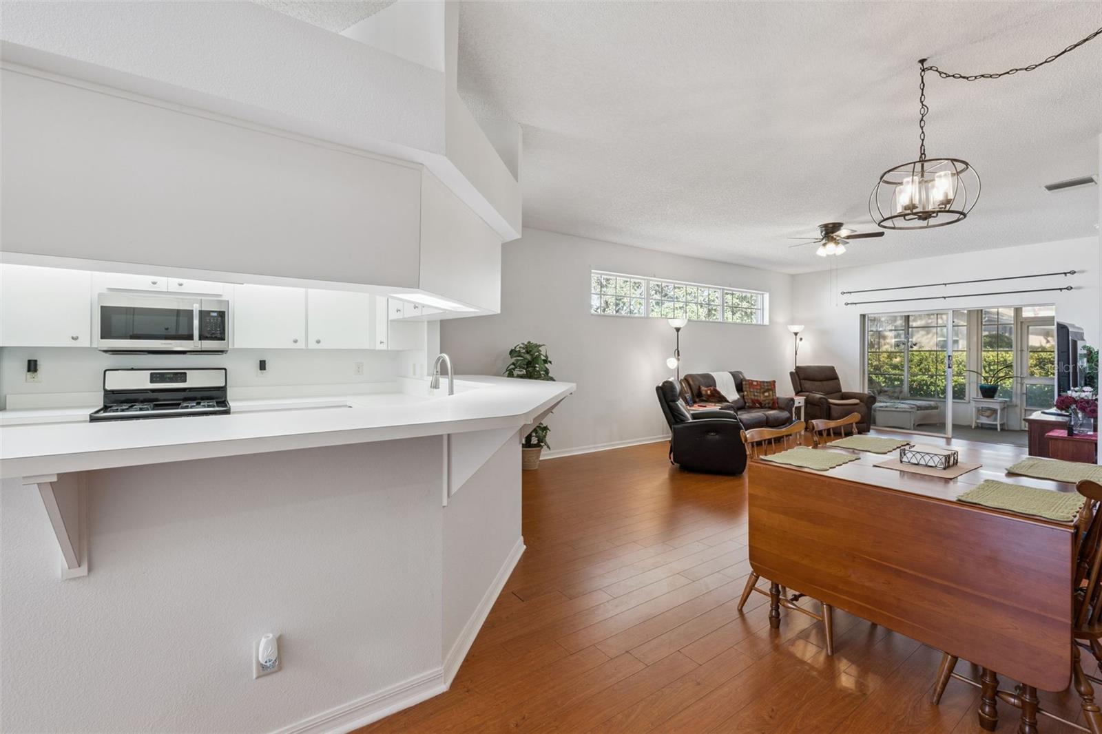 26842 FOREST HILLS ST, LEESBURG, FL, 34748