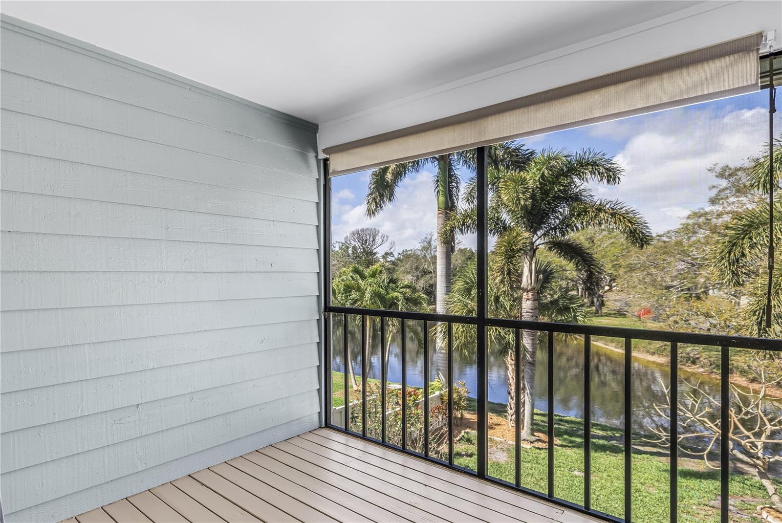 812 AMELIA CT NE, ST PETERSBURG, FL, 33702