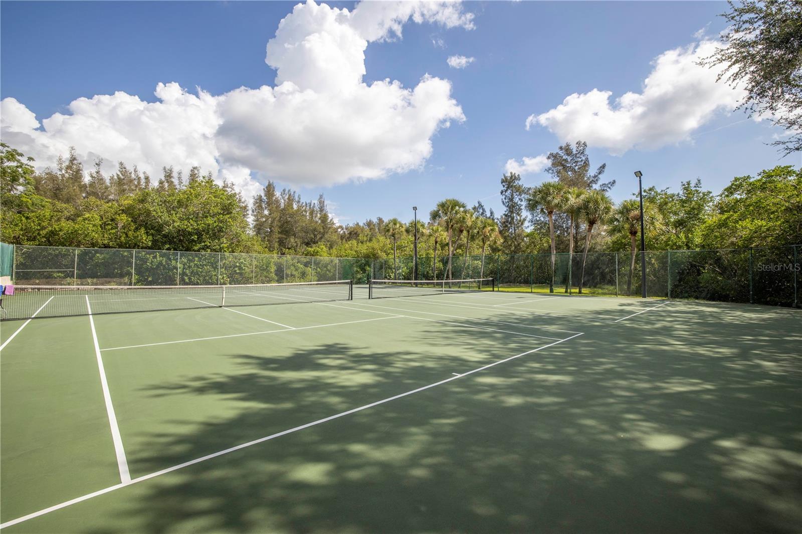 812 AMELIA CT NE, ST PETERSBURG, FL, 33702