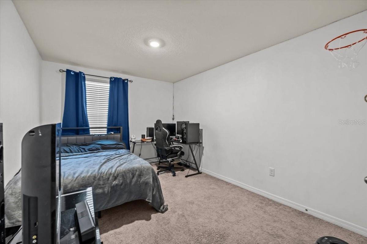 12148 WHITE CYPRESS PL, RIVERVIEW, FL, 33569