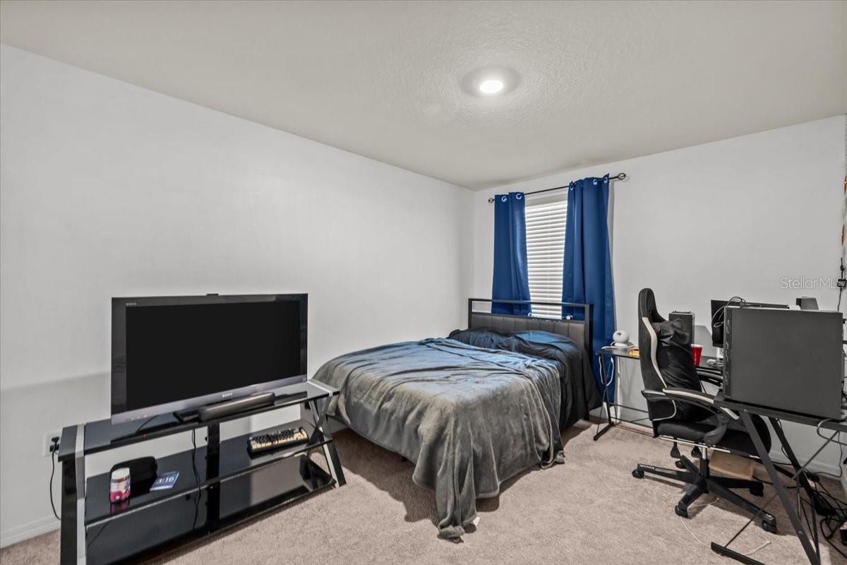 12148 WHITE CYPRESS PL, RIVERVIEW, FL, 33569