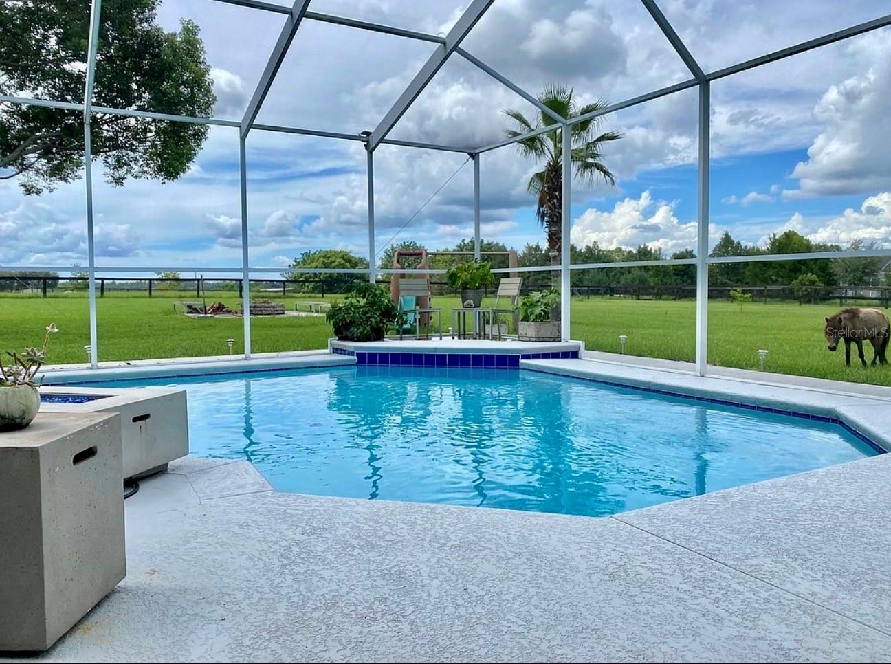 26914 MONDON HILL RD, BROOKSVILLE, FL, 34601