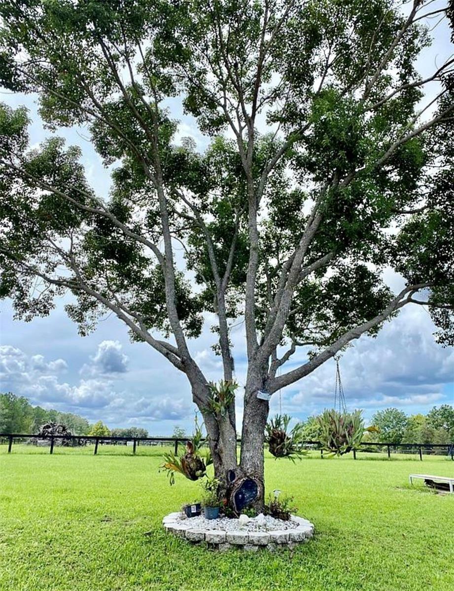 26914 MONDON HILL RD, BROOKSVILLE, FL, 34601