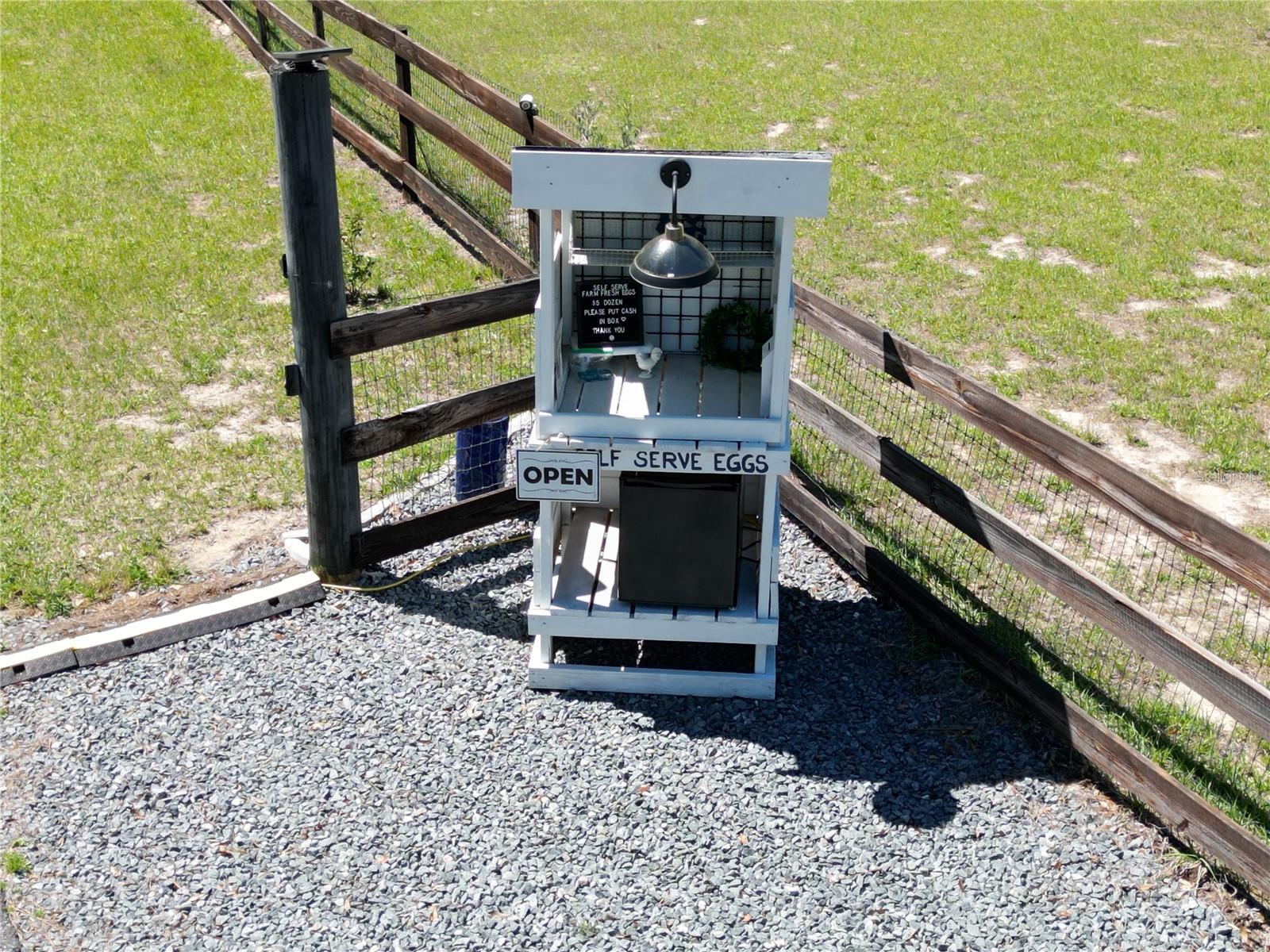 26914 MONDON HILL RD, BROOKSVILLE, FL, 34601