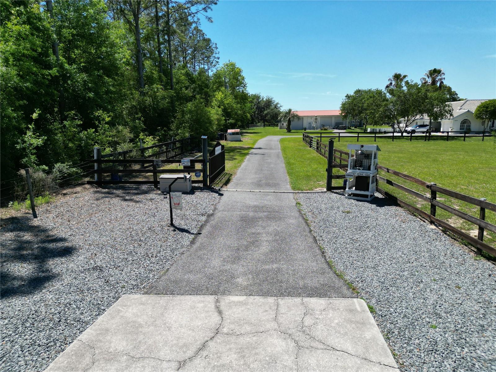 26914 MONDON HILL RD, BROOKSVILLE, FL, 34601