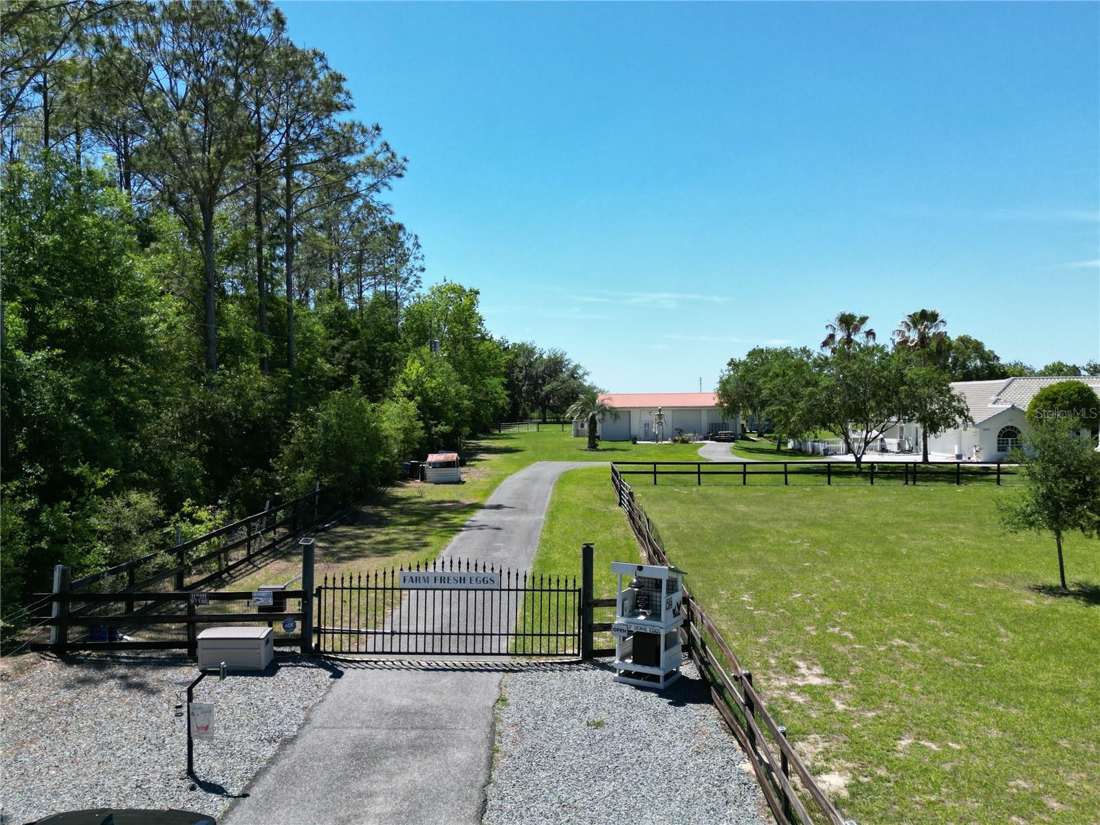 26914 MONDON HILL RD, BROOKSVILLE, FL, 34601