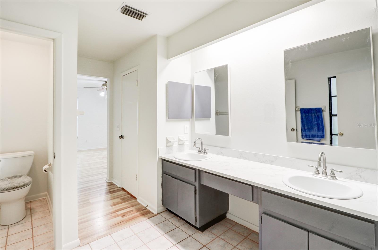 16107 COUNTRY CROSSING DR, TAMPA, FL, 33624