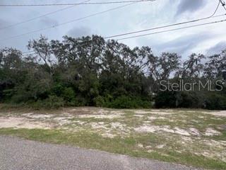 0 CLEARWATER DR, SPRING HILL, FL, 34606