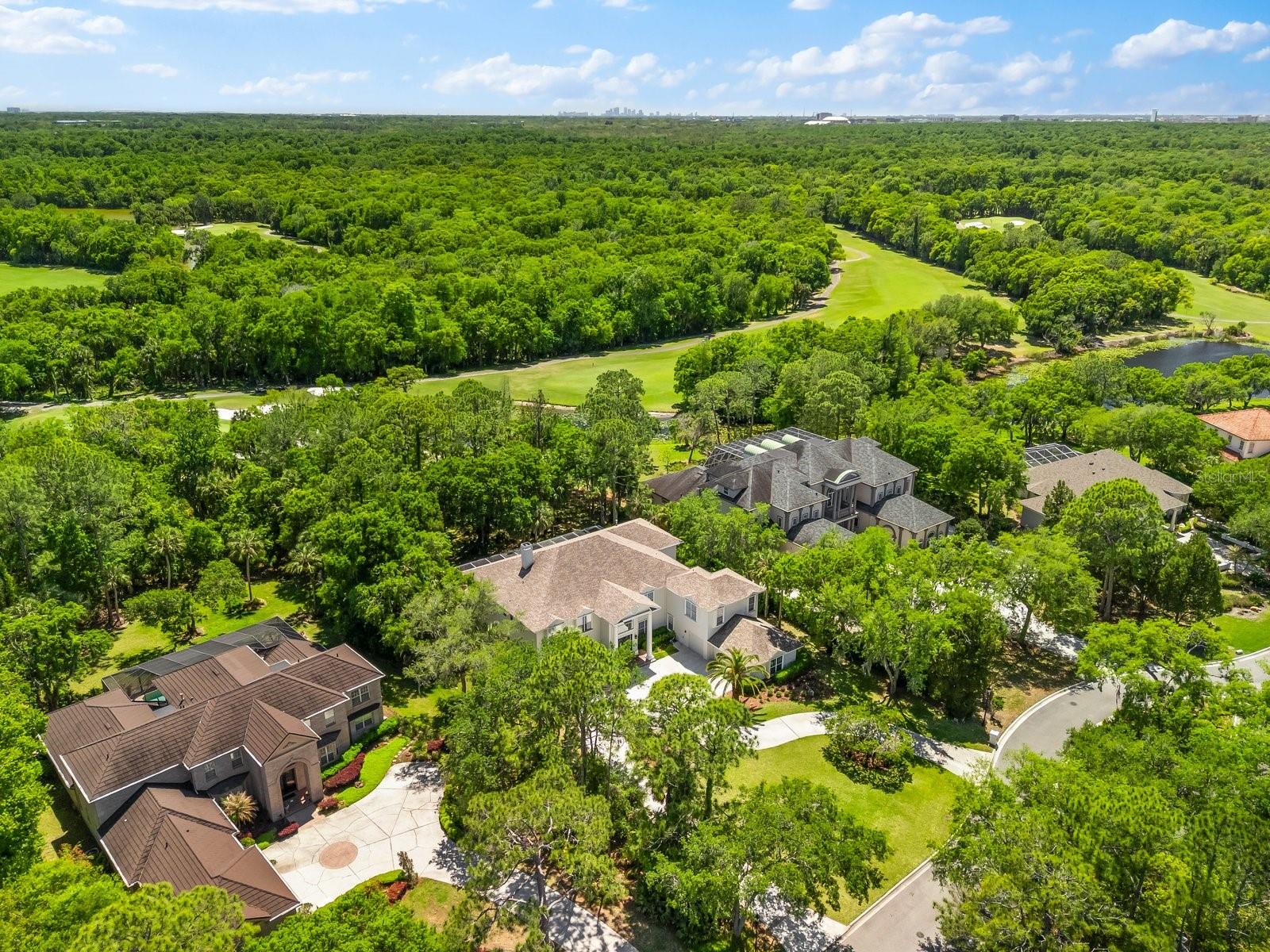 6413 MACLAURIN DR, TAMPA, FL, 33647