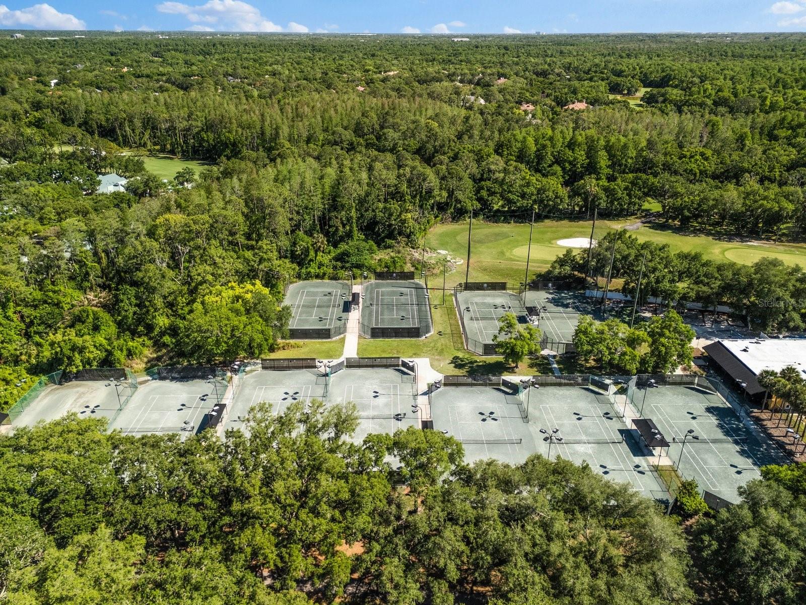 6413 MACLAURIN DR, TAMPA, FL, 33647