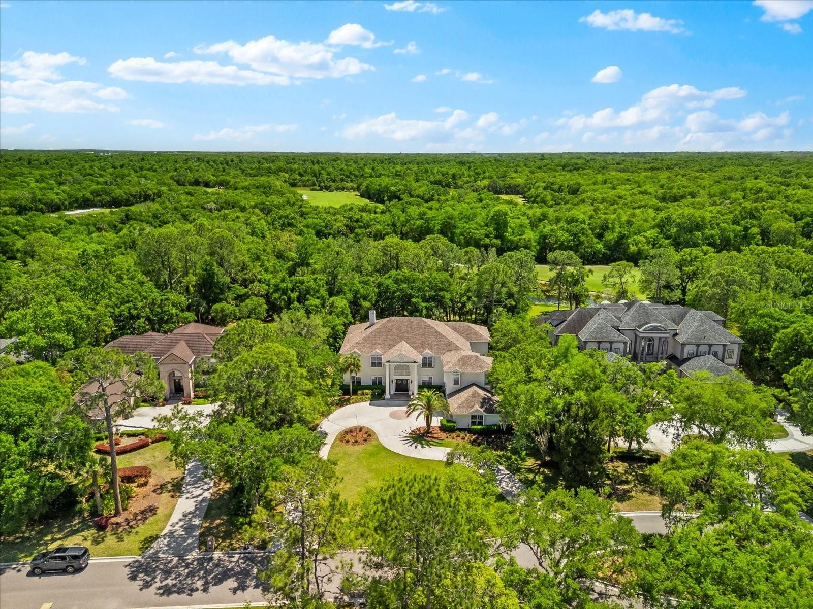 6413 MACLAURIN DR, TAMPA, FL, 33647