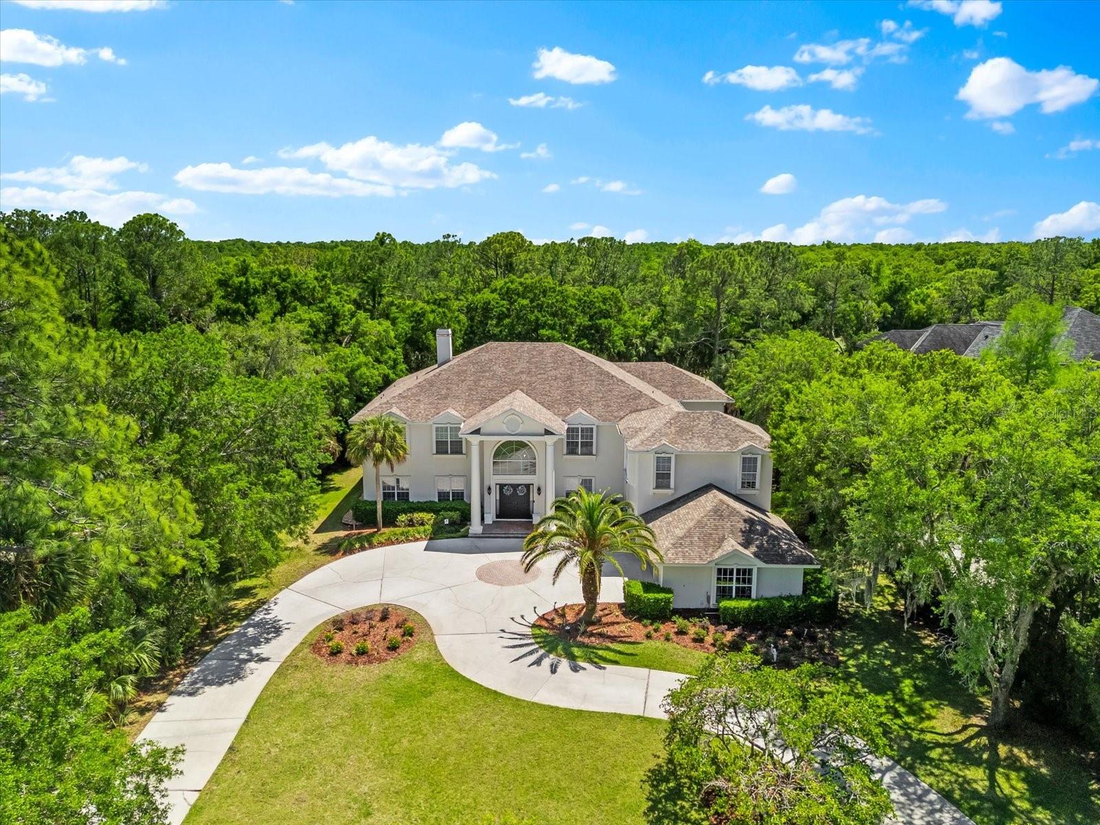 6413 MACLAURIN DR, TAMPA, FL, 33647