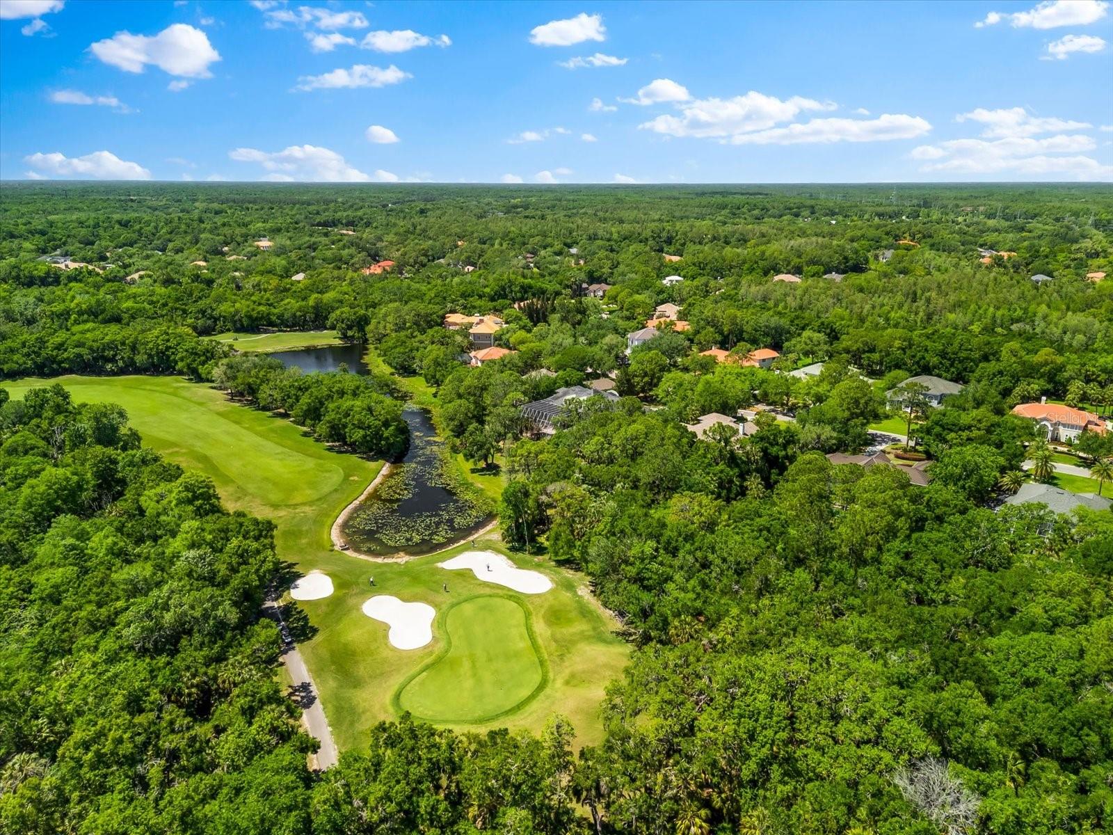 6413 MACLAURIN DR, TAMPA, FL, 33647