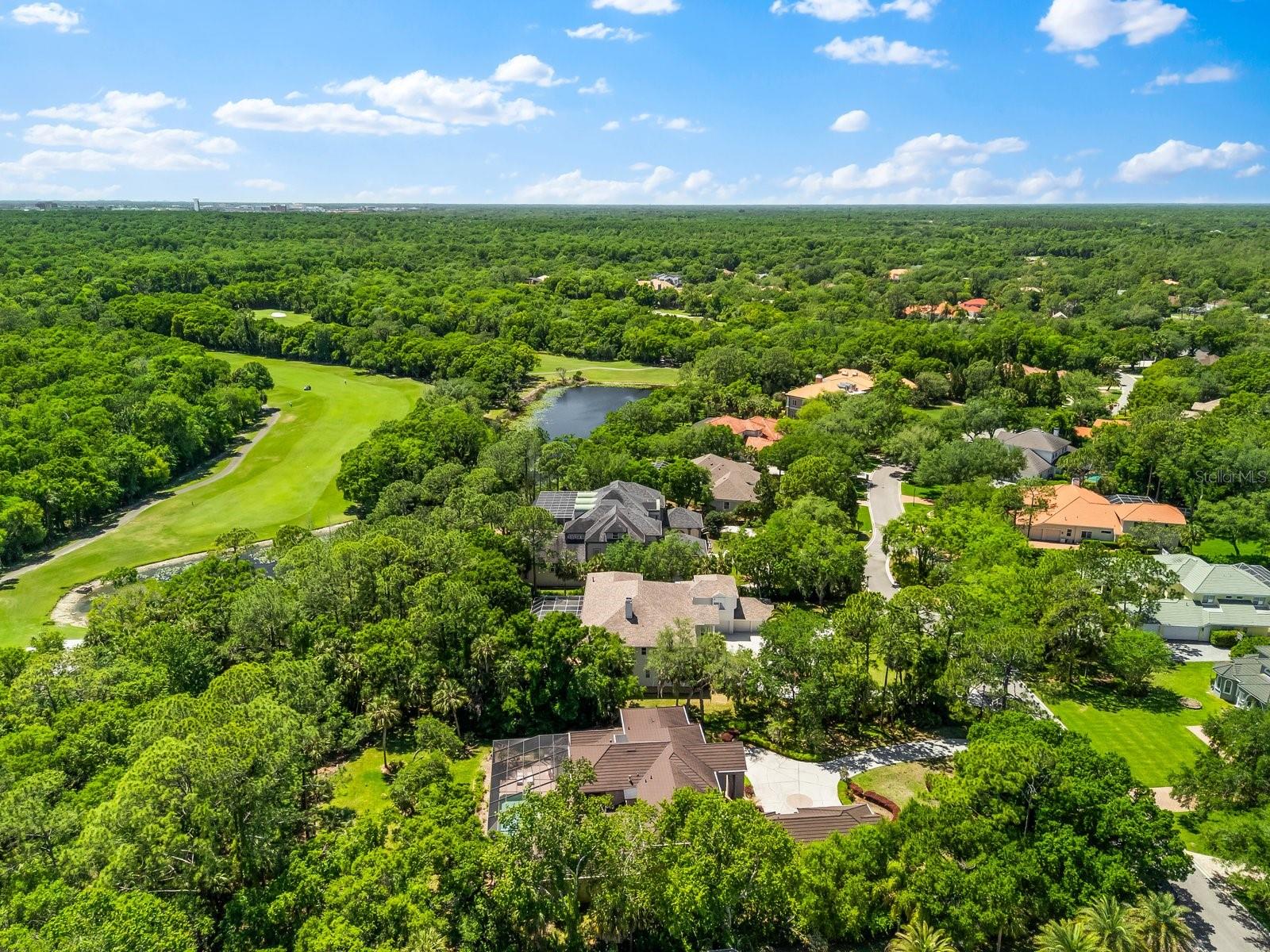 6413 MACLAURIN DR, TAMPA, FL, 33647