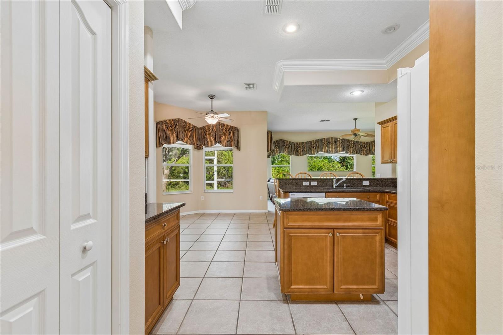 7424 MELOGOLD CIR, LAND O LAKES, FL, 34637
