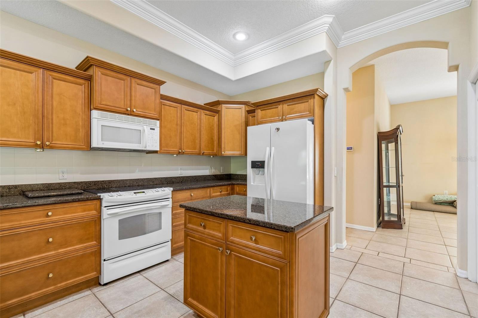 7424 MELOGOLD CIR, LAND O LAKES, FL, 34637