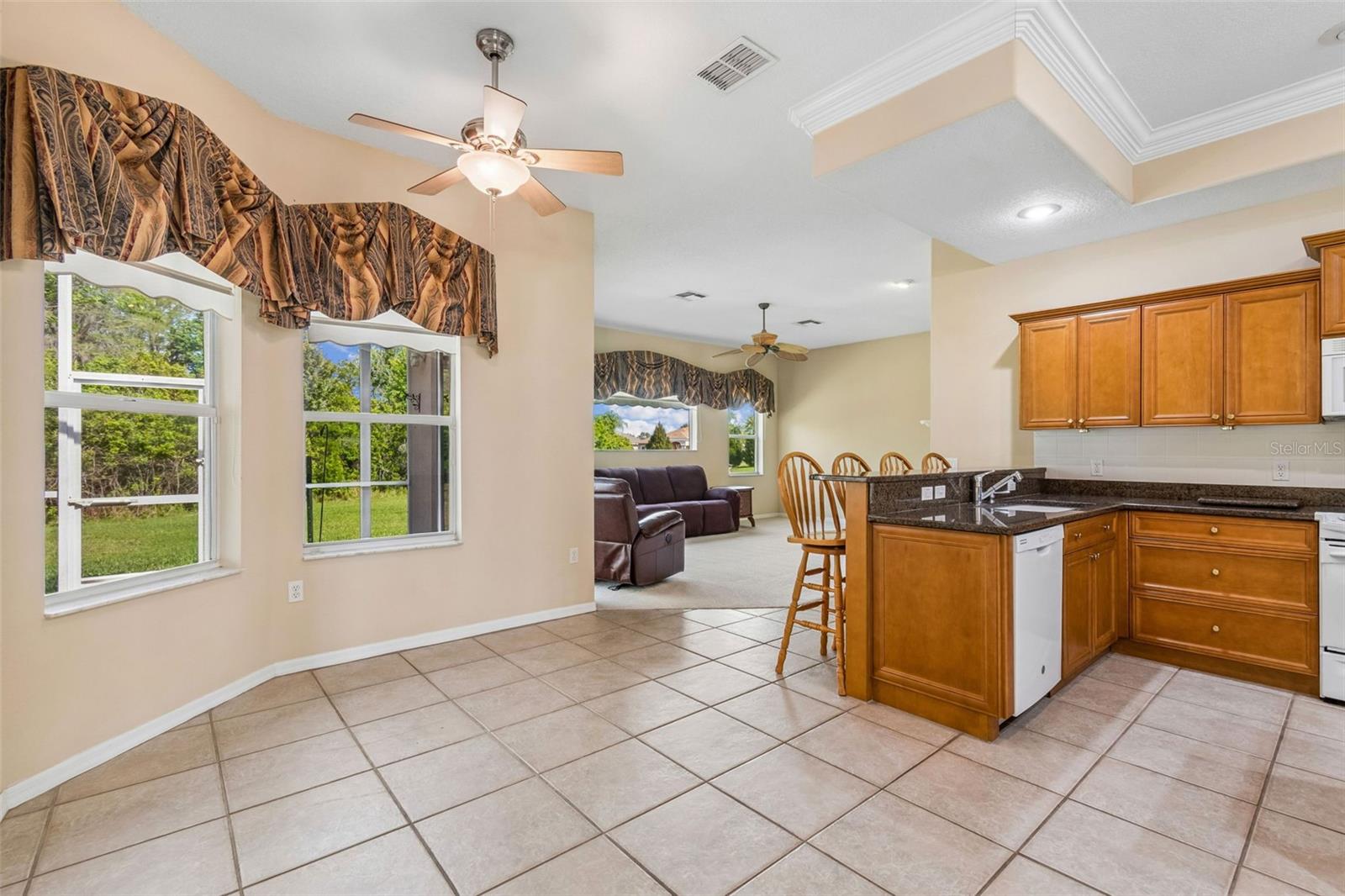 7424 MELOGOLD CIR, LAND O LAKES, FL, 34637
