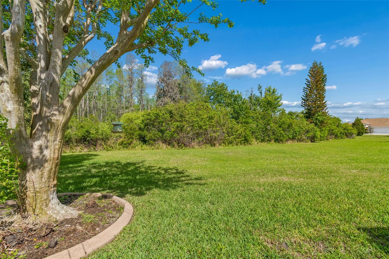 7424 MELOGOLD CIR, LAND O LAKES, FL, 34637