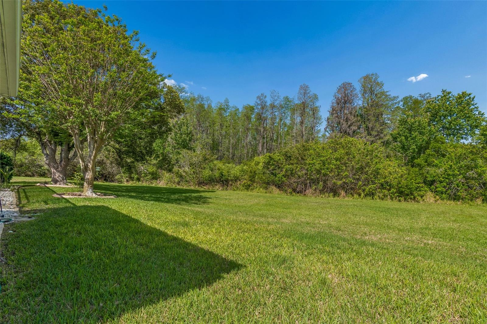 7424 MELOGOLD CIR, LAND O LAKES, FL, 34637