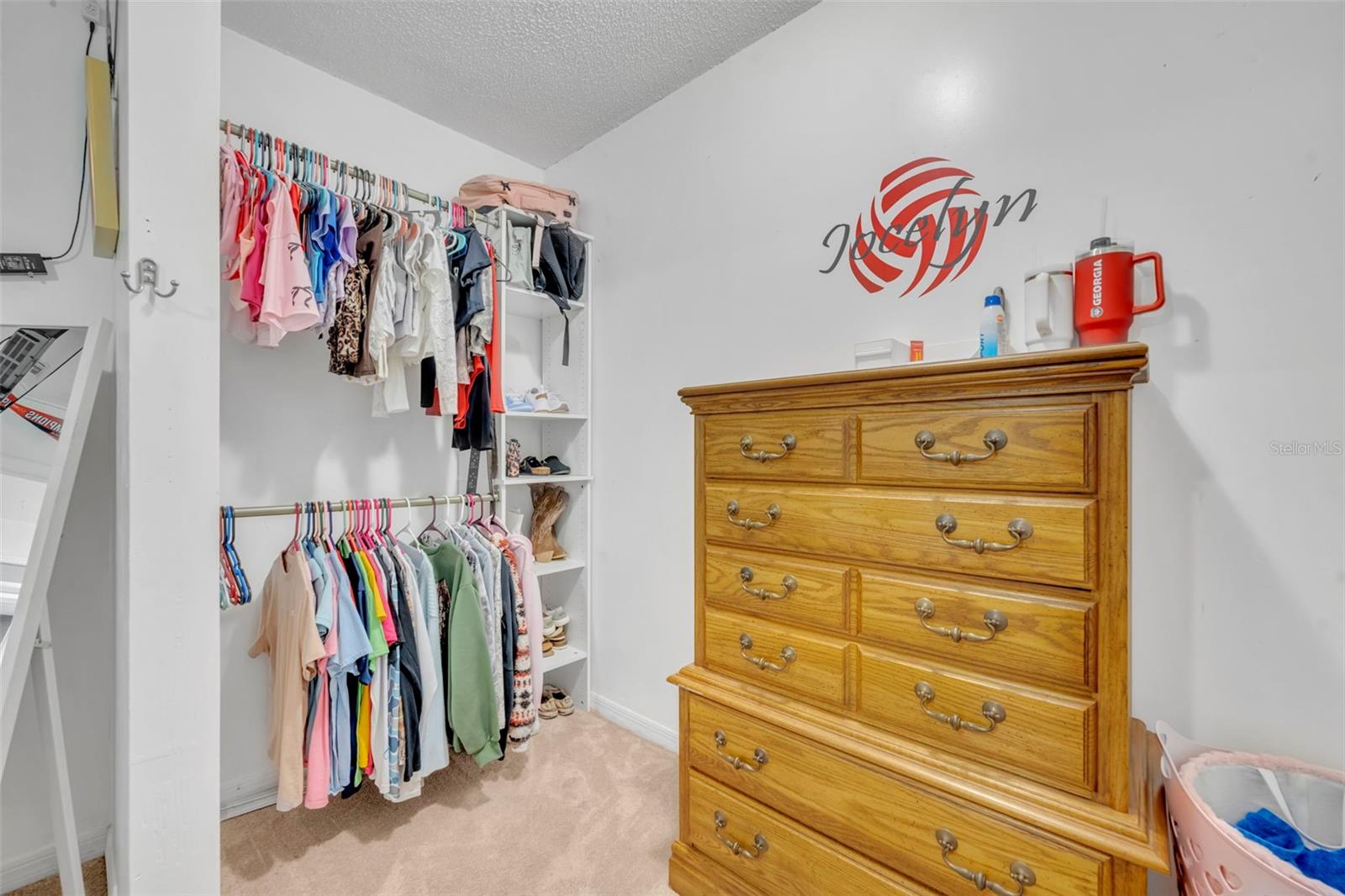 202 BRYAN ST, EUSTIS, FL, 32726