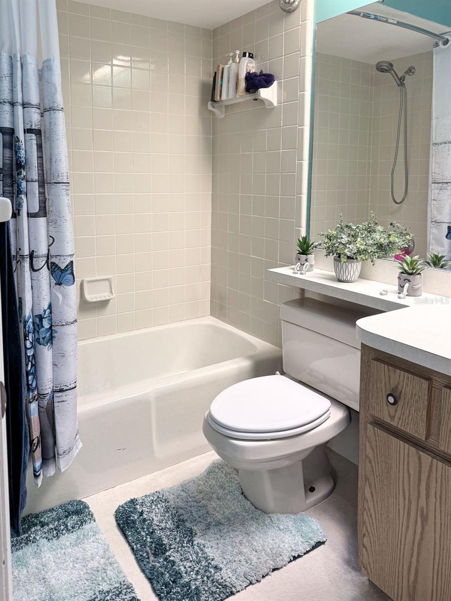 202 BRYAN ST, EUSTIS, FL, 32726