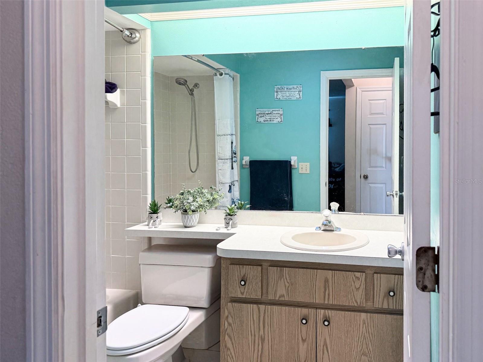 202 BRYAN ST, EUSTIS, FL, 32726