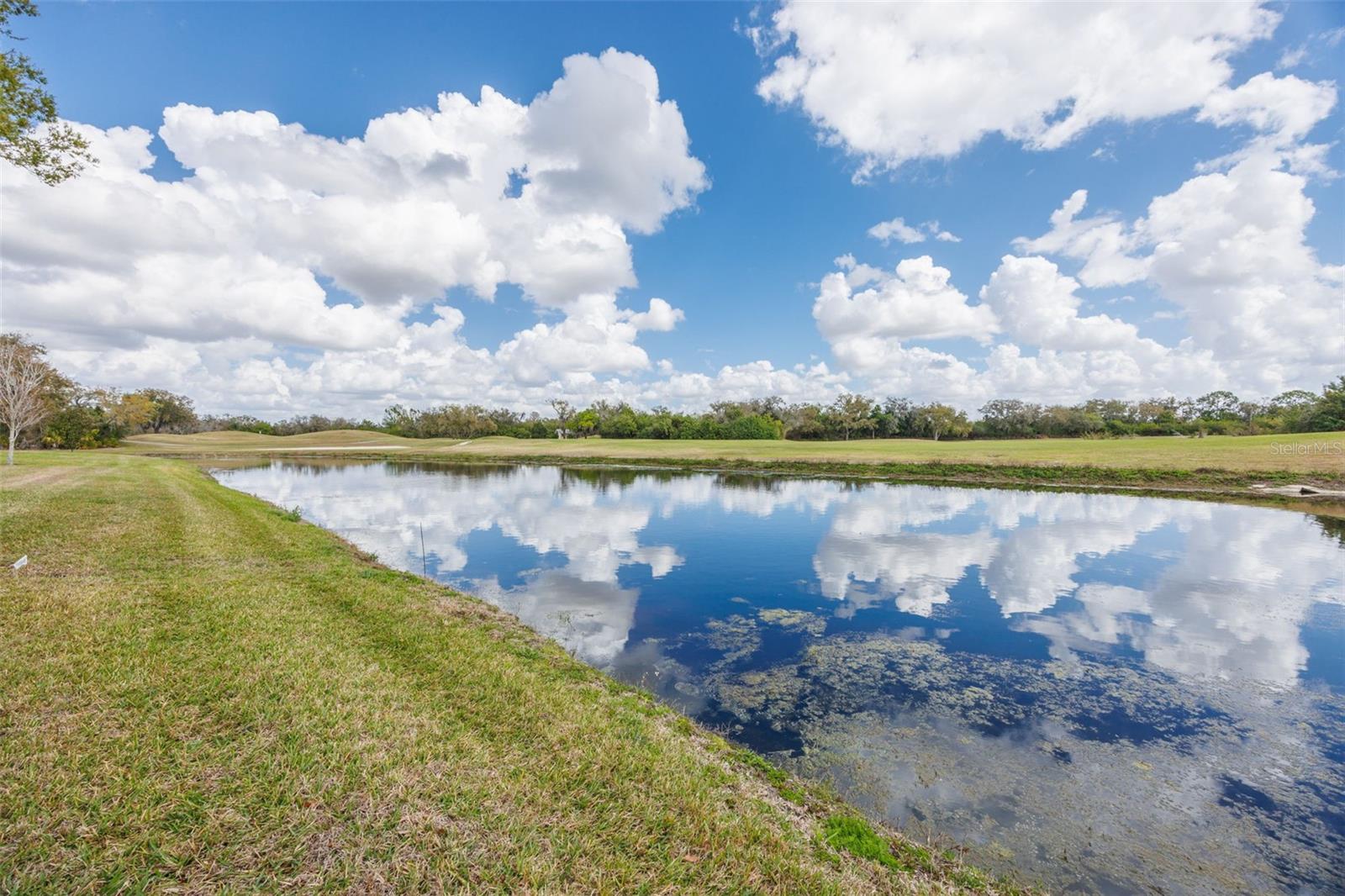 Beautiful view from YOUR backyard